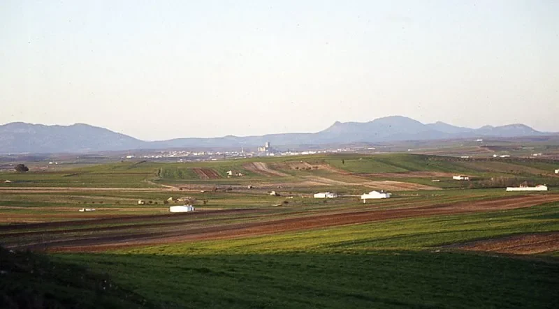 Campiña de Belalcázar con el pueblo y la sierra al fondo