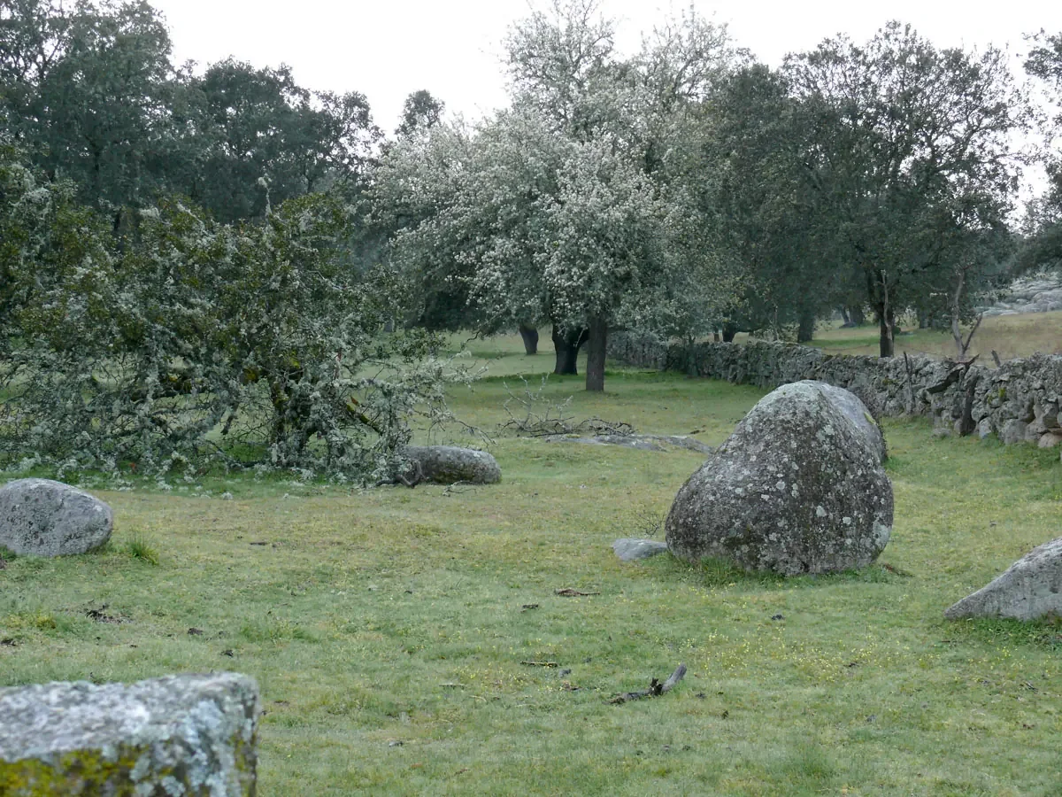Bolos de granito entre encinas y prado verde