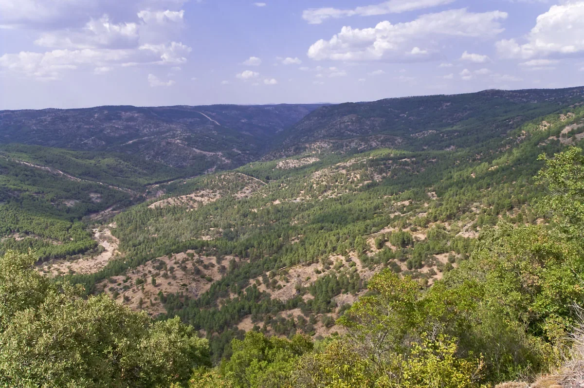 Valle de monte bajo y sierra visto desde un mirador de Los Pedroches