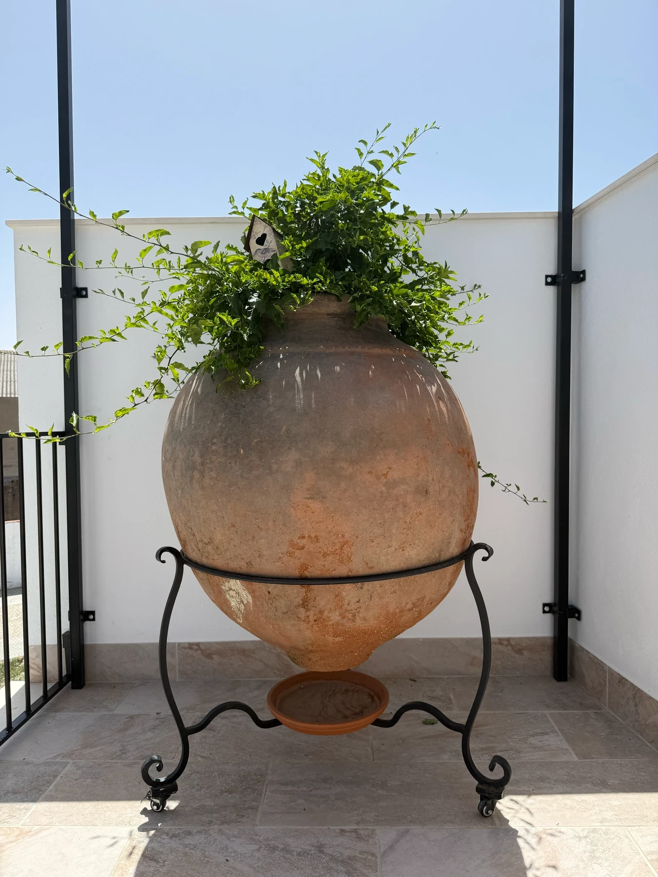 Jarre en terre cuite avec fougère sur la terrasse