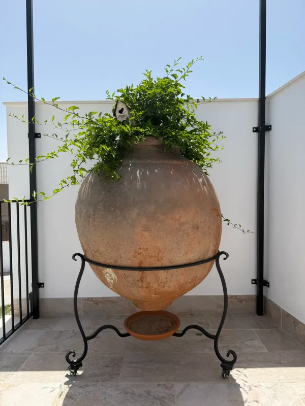 Tinaja de barro con un helecho en la terraza